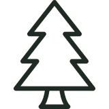 Pine tree outline on black background